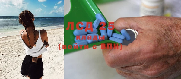 тгк Ельня