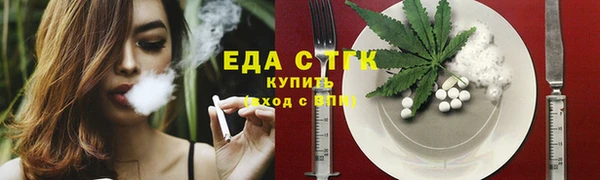 тгк Ельня