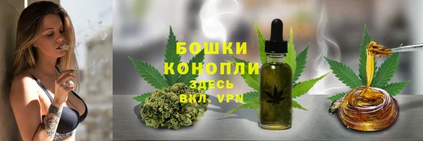 трава Елабуга