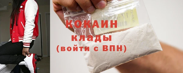 тгк Ельня