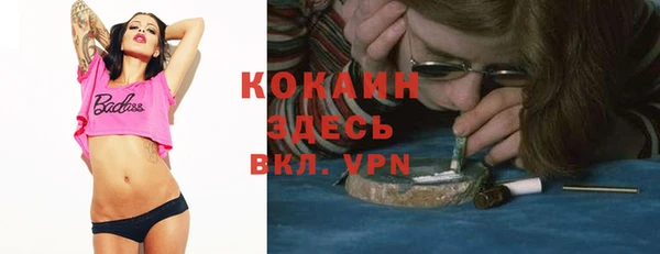 тгк Ельня