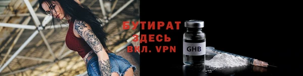 тгк Ельня