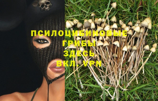 трава Елабуга