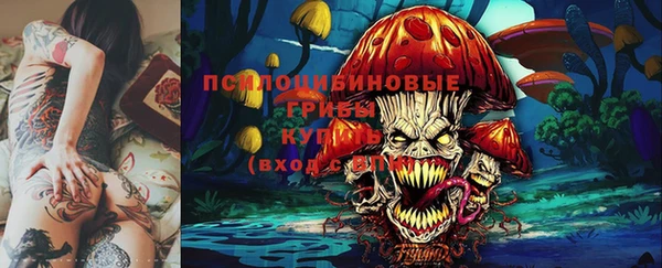 трава Елабуга