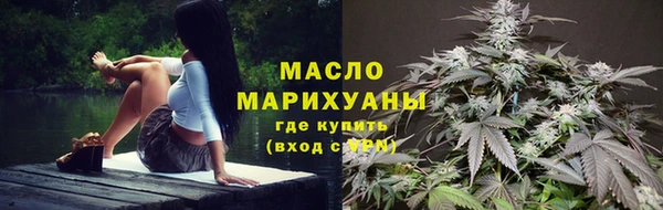 тгк Ельня