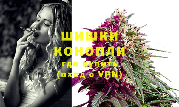 трава Елабуга